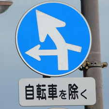 異形矢印標識(指定方向外進行禁止)。岡山県岡山市北区にある。