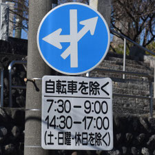 異形矢印標識(指定方向外進行禁止)。長野県伊那市にある。