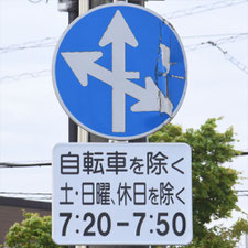 異形矢印標識(指定方向外進行禁止)。茨城県ひたちなか市にある。
