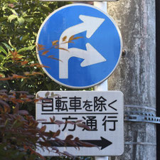 異形矢印標識(指定方向外進行禁止)。東京都世田谷区にある。