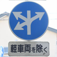 異形矢印標識(指定方向外進行禁止)。静岡県静岡市清水区にある。