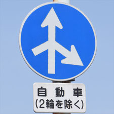 異形矢印標識(指定方向外進行禁止)。茨城県土浦市にある。