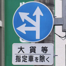 異形矢印標識(指定方向外進行禁止)。福岡県福岡市にある。