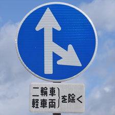 異形矢印標識(指定方向外進行禁止)。静岡県島田市にある。