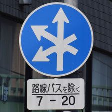 異形矢印標識(指定方向外進行禁止)。東京都江戸川区にある。