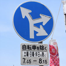 異形矢印標識(指定方向外進行禁止)。茨城県土浦市にある。