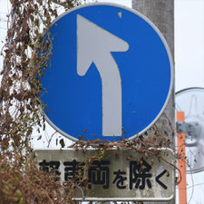 異形矢印標識(指定方向外進行禁止)。静岡県伊豆の国市にある。