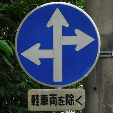 異形矢印標識(指定方向外進行禁止)。静岡県浜松市にある。