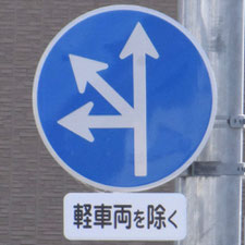 異形矢印標識(指定方向外進行禁止)。静岡県静岡市葵区にある。
