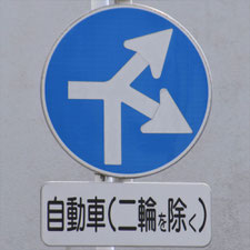 異形矢印標識(指定方向外進行禁止)。栃木県宇都宮市にある。