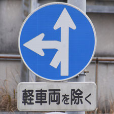 異形矢印標識(指定方向外進行禁止)。静岡県焼津市にある。
