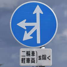 異形矢印標識(指定方向外進行禁止)。静岡県島田市にある。