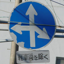 異形矢印標識(指定方向外進行禁止)。静岡県浜松市にある。