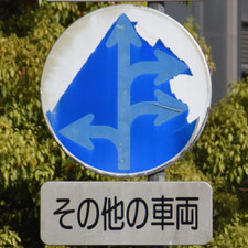 異形矢印標識(指定方向外進行禁止)。茨城県つくば市にある。