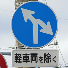 異形矢印標識(指定方向外進行禁止)。静岡県静岡市葵区にある。