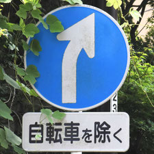 異形矢印標識(指定方向外進行禁止)。神奈川県湯河原町にある。