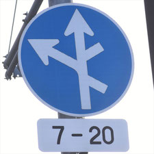 異形矢印標識(指定方向外進行禁止)。東京都墨田区にある。