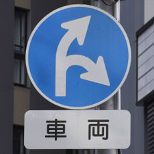 異形矢印標識(指定方向外進行禁止)。新潟県新潟市にある。