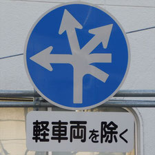 異形矢印標識(指定方向外進行禁止)。静岡県浜松市にある。