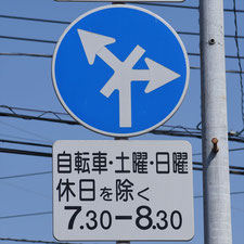 異形矢印標識(指定方向外進行禁止)。栃木県足利市にある。