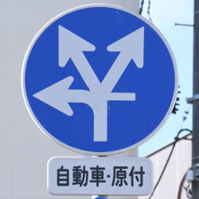 異形矢印標識(指定方向外進行禁止)。新潟県新潟市にある。