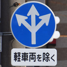 異形矢印標識(指定方向外進行禁止)。静岡県静岡市葵区にある。