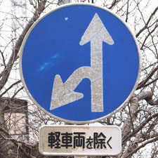 異形矢印標識(指定方向外進行禁止)。静岡県藤枝市にある。