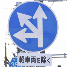 異形矢印標識(指定方向外進行禁止)。静岡県静岡市葵区にある。