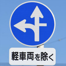 異形矢印標識(指定方向外進行禁止)。静岡県沼津市にある。