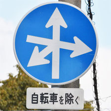 異形矢印標識(指定方向外進行禁止)。広島県広島市にある。