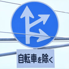 異形矢印標識(指定方向外進行禁止)。大阪府寝屋川市にある。