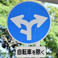 異形矢印標識(指定方向外進行禁止)。広島県福山市にある。