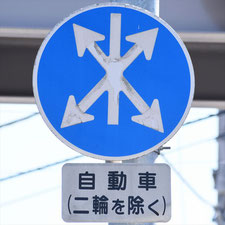 異形矢印標識(指定方向外進行禁止)。栃木県佐野市にある。