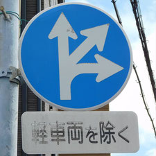 異形矢印標識(指定方向外進行禁止)。静岡県静岡市葵区にある。