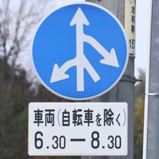 異形矢印標識(指定方向外進行禁止)。広島県東広島市にある。