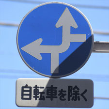 異形矢印標識(指定方向外進行禁止)。茨城県古河市にある。
