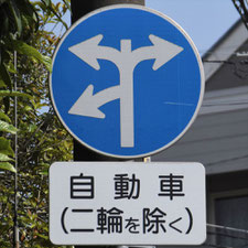 異形矢印標識(指定方向外進行禁止)。茨城県土浦市にある。