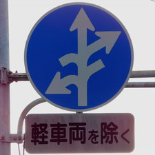 異形矢印標識(指定方向外進行禁止)。静岡県静岡市清水区にある。