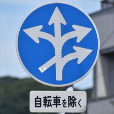 異形矢印標識(指定方向外進行禁止)。広島県府中市にある。