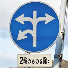 異形矢印標識(指定方向外進行禁止)。広島県広島市にある。