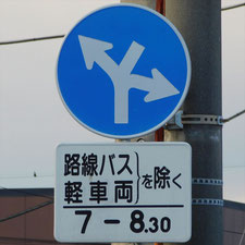 異形矢印標識(指定方向外進行禁止)。静岡県静岡市清水区にある。