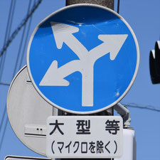 異形矢印標識(指定方向外進行禁止)。静岡県浜松市にある。