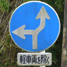異形矢印標識(指定方向外進行禁止)。静岡県浜松市にある。