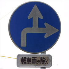 異形矢印標識(指定方向外進行禁止)。静岡県沼津市にある。