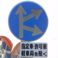 異形矢印標識(指定方向外進行禁止)。静岡県浜松市にある。