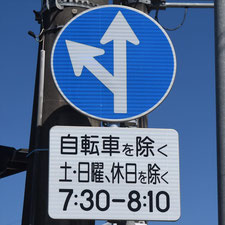 異形矢印標識(指定方向外進行禁止)。茨城県古河市にある。