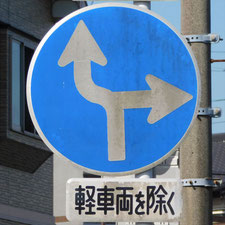 異形矢印標識(指定方向外進行禁止)。静岡県浜松市にある。