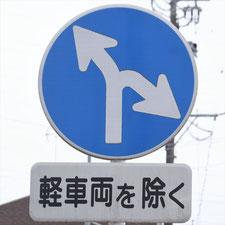 異形矢印標識(指定方向外進行禁止)。静岡県藤枝市にある。