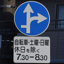 異形矢印標識(指定方向外進行禁止)。栃木県宇都宮市にある。