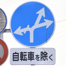異形矢印標識(指定方向外進行禁止)。群馬県みどり市にある。